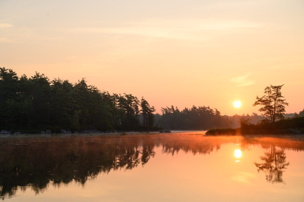 Serene sunset over tranquil lake with golden hues reflecting silhouetted shoreline trees wallpaper