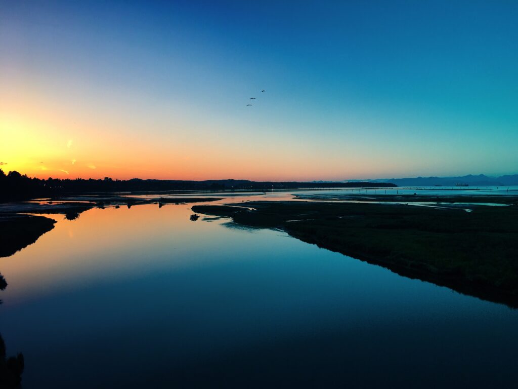 Serene sea wallpaper with glowing sunset over calm shoreline vibrant blue and orange hues birds gliding