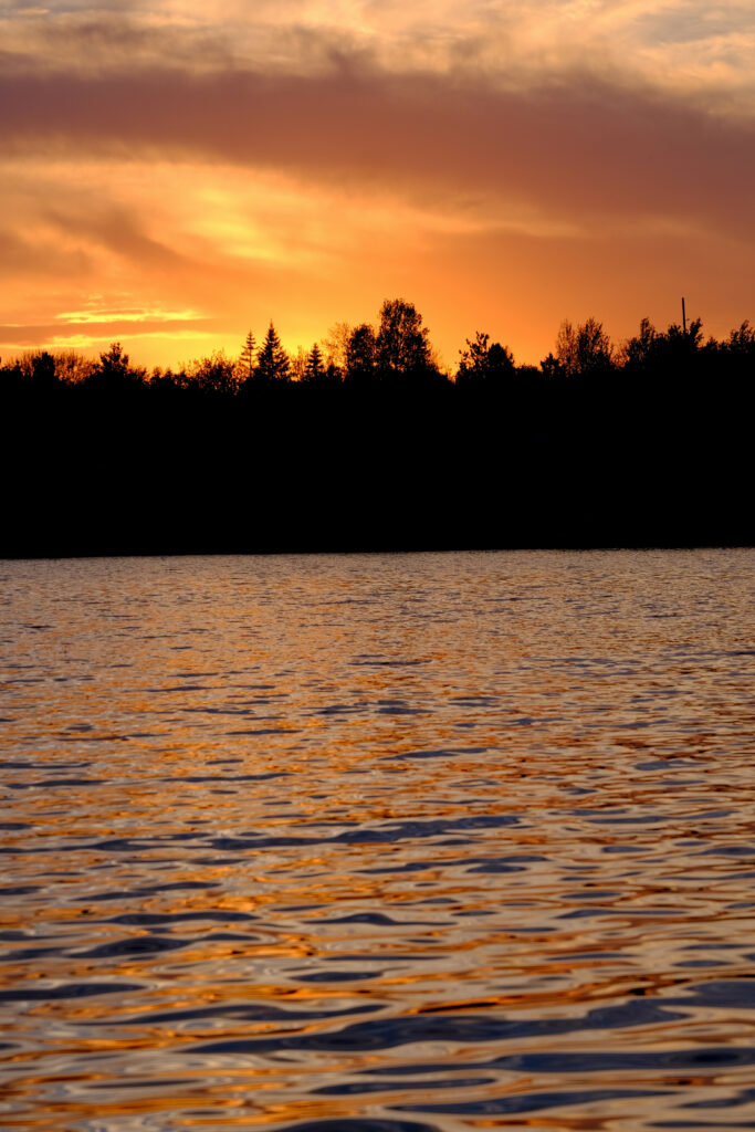 Sunset river scene with vibrant orange gold reflections and silhouetted trees wallpaper background