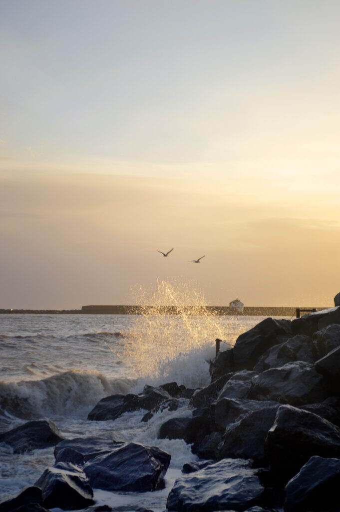 Sunset coastal wallpaper with rugged rocks waves splashing and birds soaring in golden sky