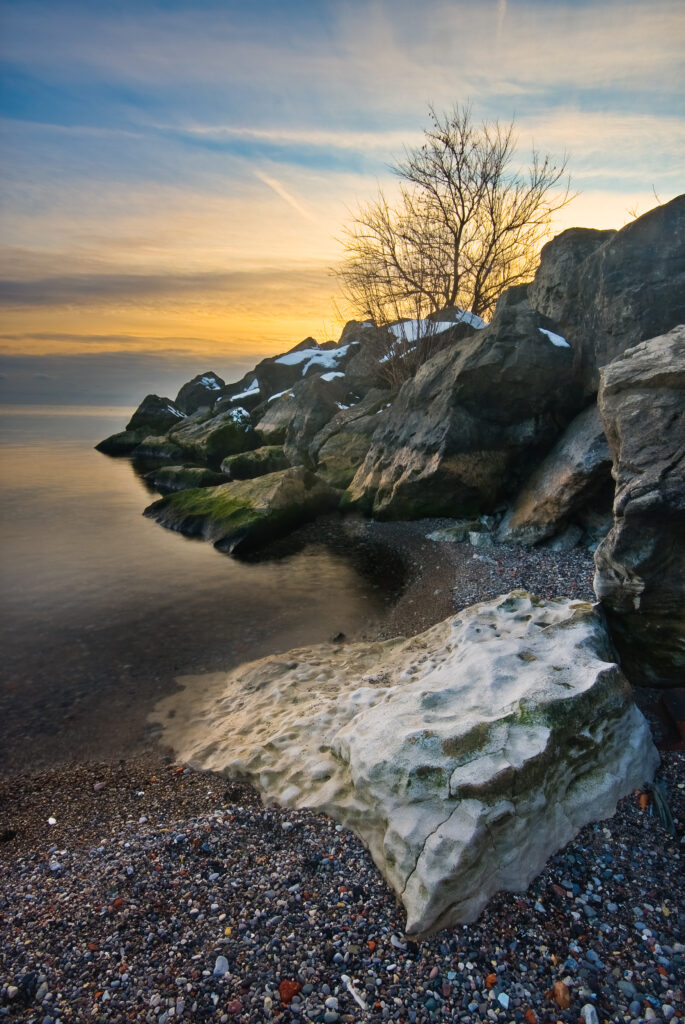 Serene seaside sunset with rugged rocks bare tree golden light calm water peaceful landscape wallpaper