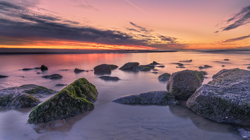 Sunset over mossy shoreline rocks with gentle waves reflecting vibrant orange pink and purple hues Wallpaper
