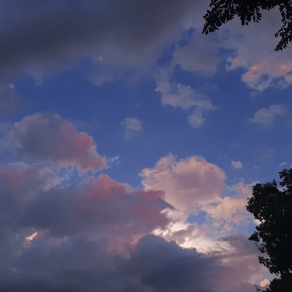 Serene Sunset Sky: HD Wallpaper of Clouds & Silhouetted Trees