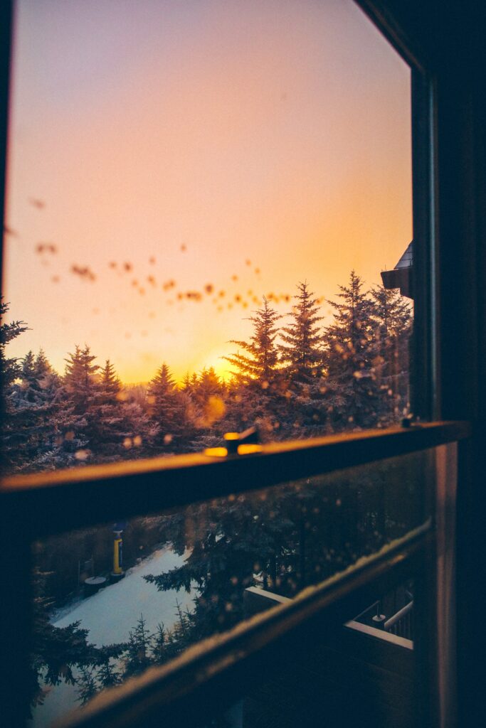 Serene sunset through window over tall evergreen trees with warm golden sky and reflections Wallpaper
