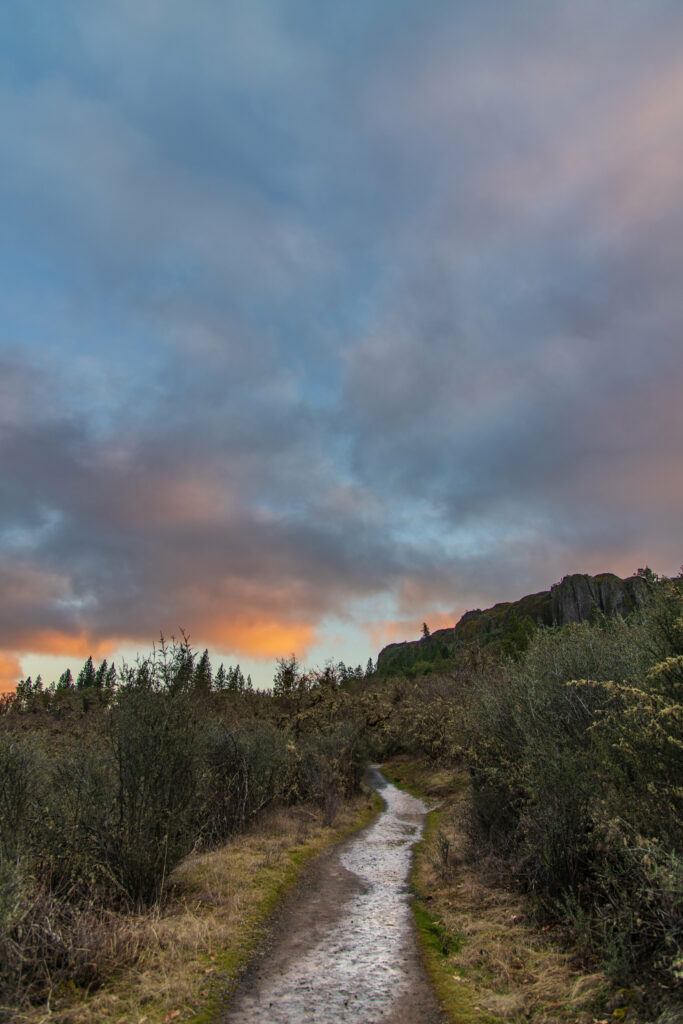Narrow winding path through wild bushes and rugged rocks under vibrant sunset sky landscape Wallpaper