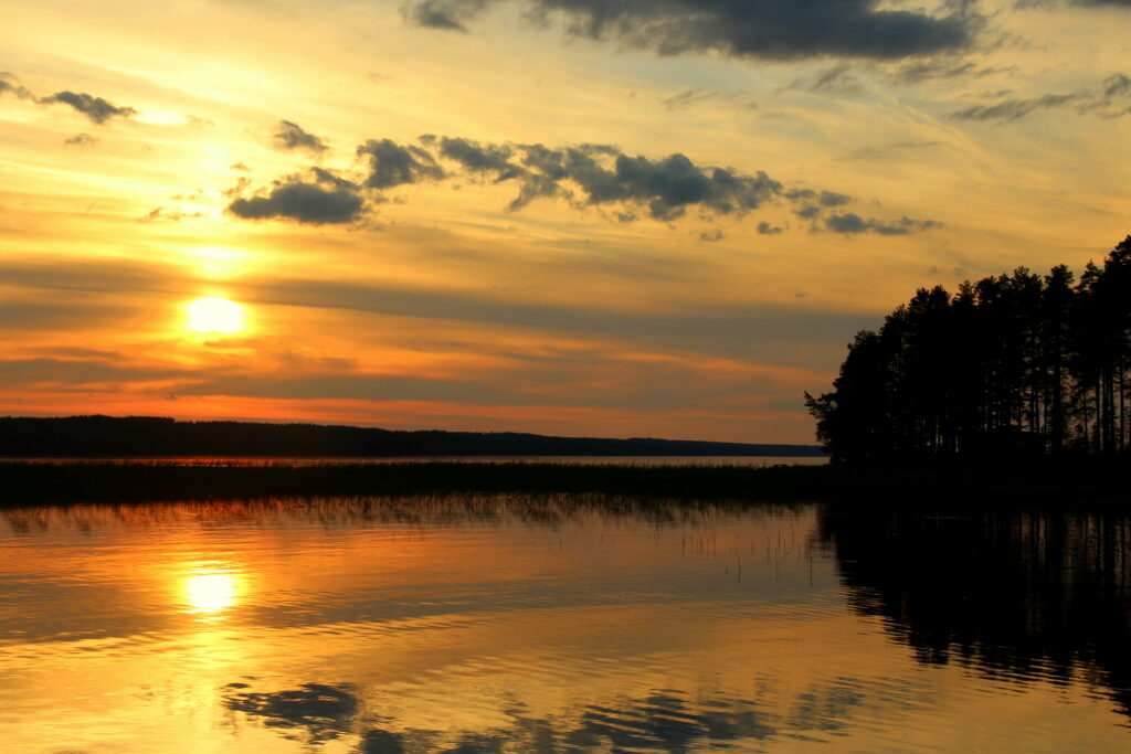 Serene sunset wallpaper with golden sky reflecting on calm water and silhouetted trees landscape