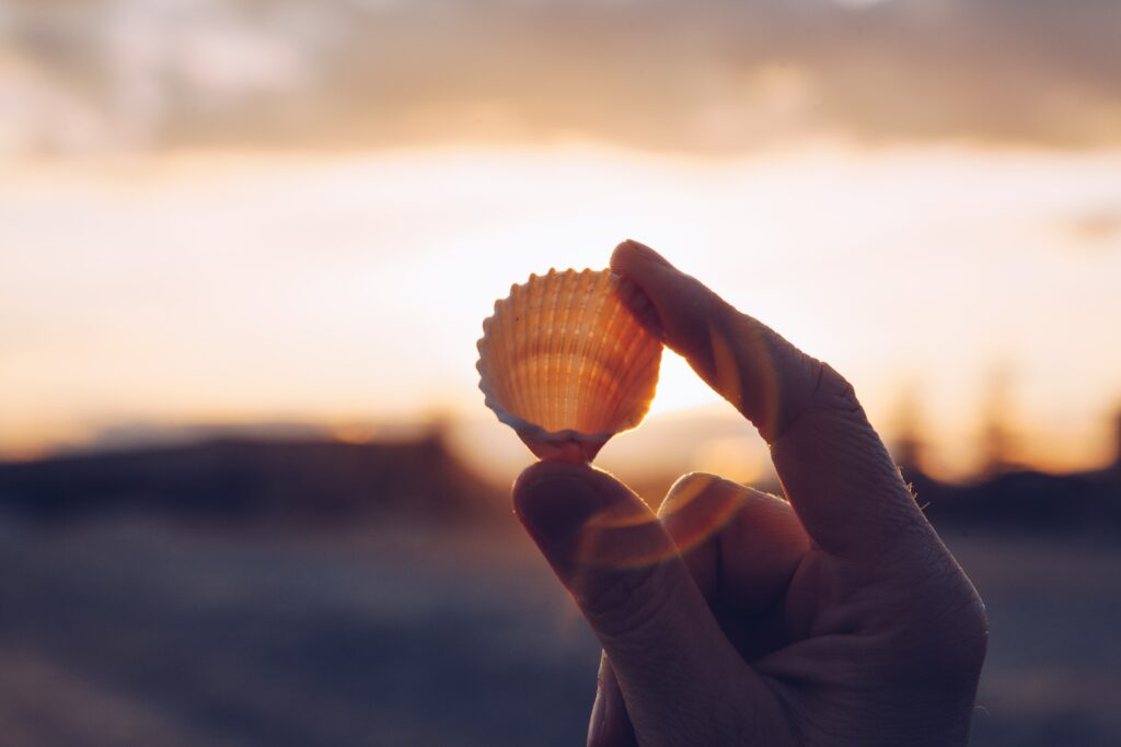 Tranquil Sunset Wallpaper: Hand Holding Seashell in Warm Sunlight