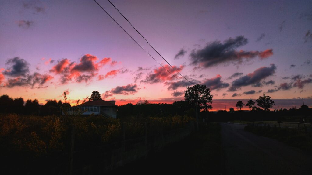 Serene rural sunset wallpaper with pink purple sky silhouetted trees quiet road house background