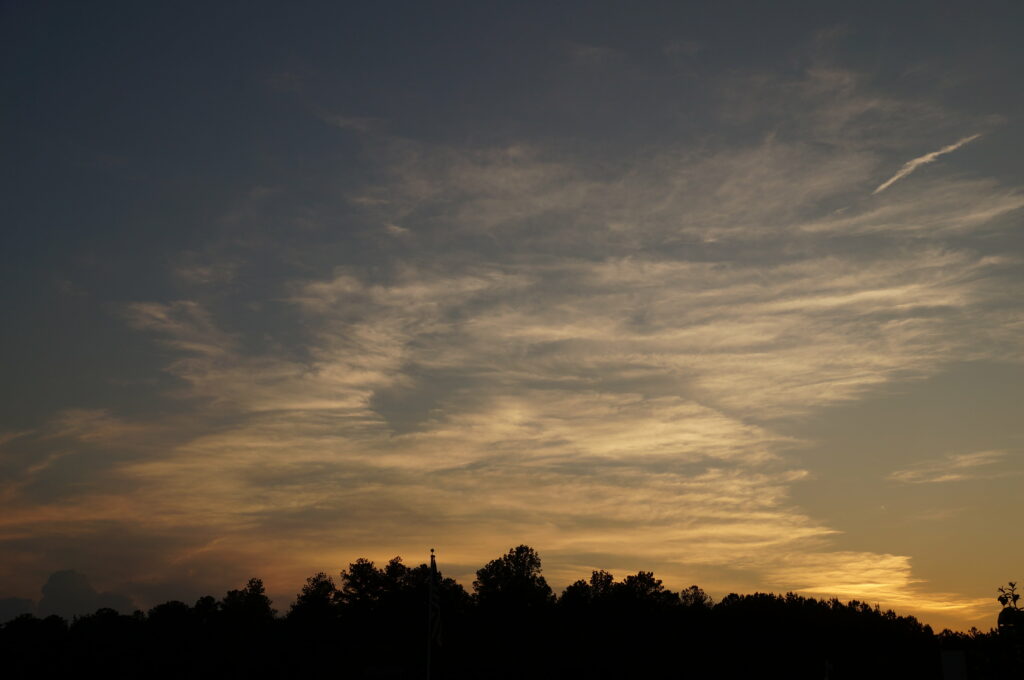 Serene Sunset Wallpaper: Silhouette Trees & Wispy Clouds