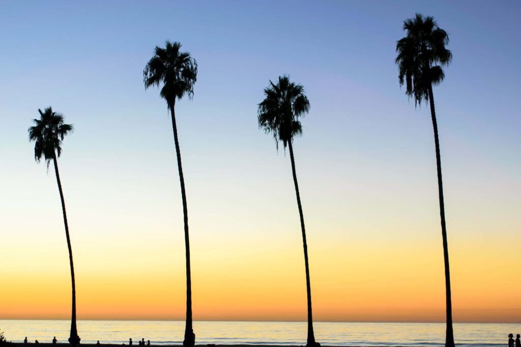 Serene Sunset Palm Trees Wallpaper - Warm Hues Over Calm Ocean