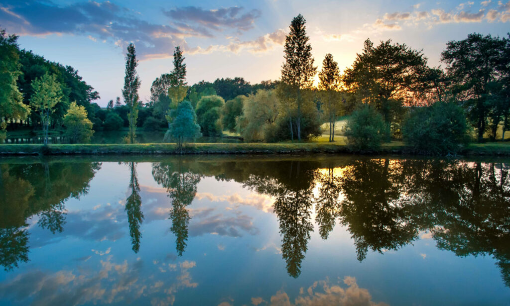 Tranquil Sunset Forest Wallpaper: Serene Lake Reflection