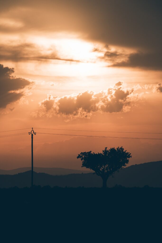 Serene sunset with lone tree and electric pole silhouette against warm orange cloudy sky wallpaper