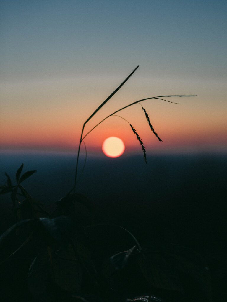 Serene sunset wallpaper with sun glowing over grass silhouette and warm orange to deep blue sky