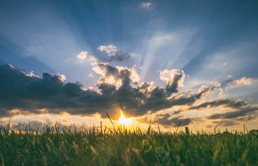 Golden sun rays shining through dramatic clouds over green field serene nature wallpaper background