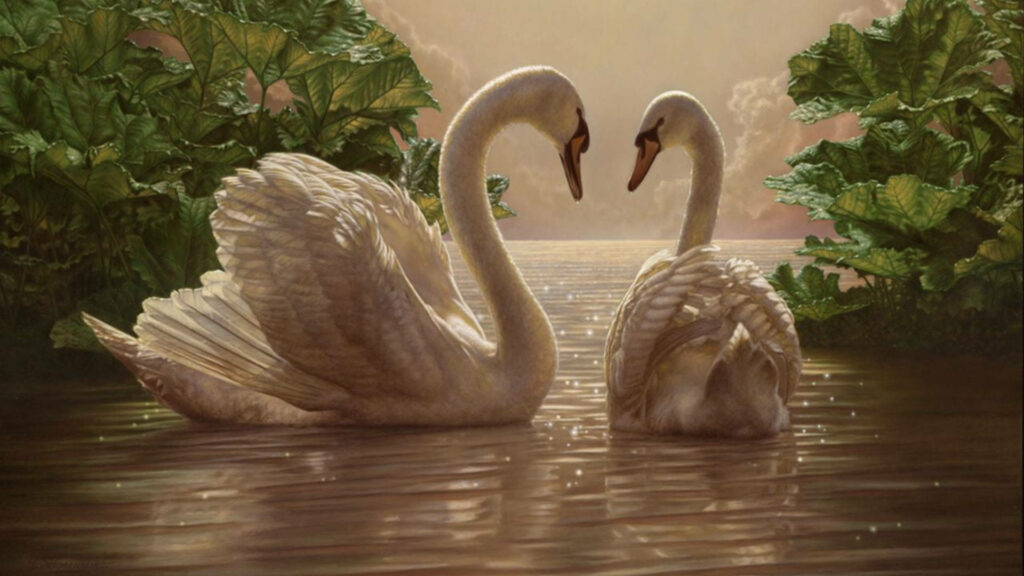 Serene Swan Wallpaper: Love & Unity in a Tranquil Nature Scene