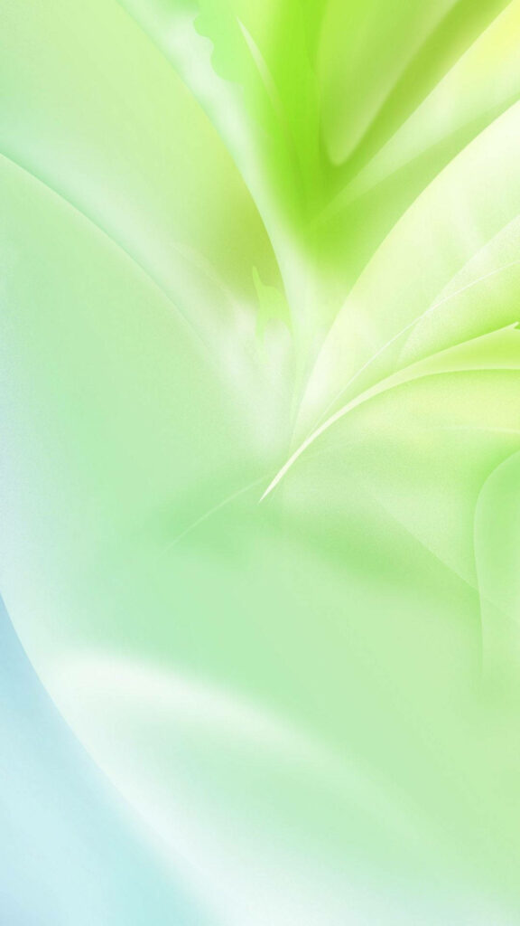 Soothing Serenity: Abstract Light Green Aesthetic Gradient with Soft Shapes Resembling Nature Wallpaper