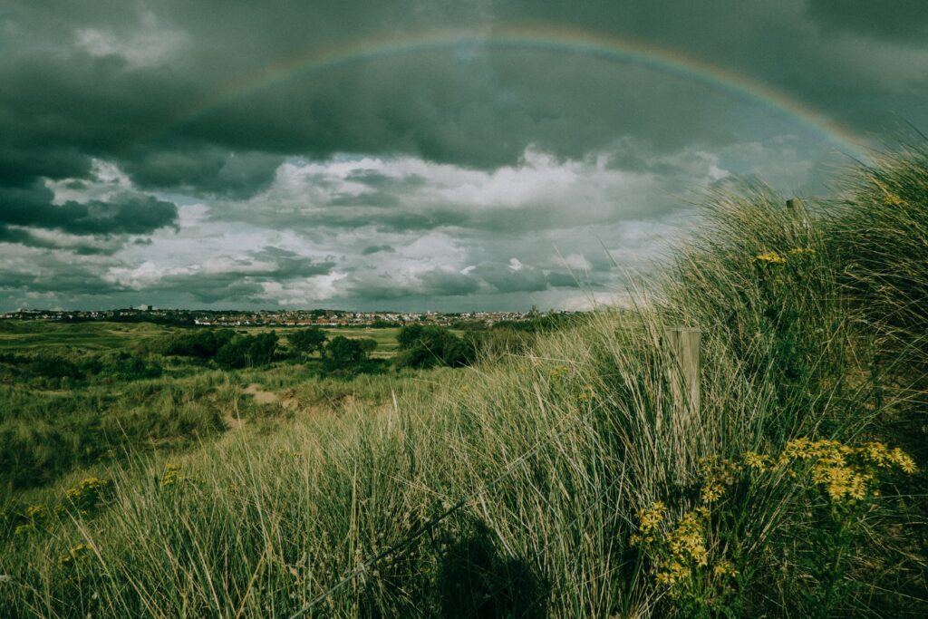 Serene field of tall grasses under dramatic clouds with soft rainbow for calming wallpaper background
