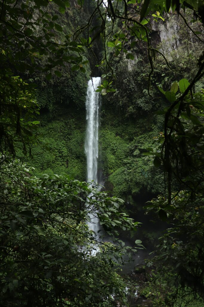 Tall slender waterfall cascading over lush green cliff with dense trees and mossy rocks wallpaper