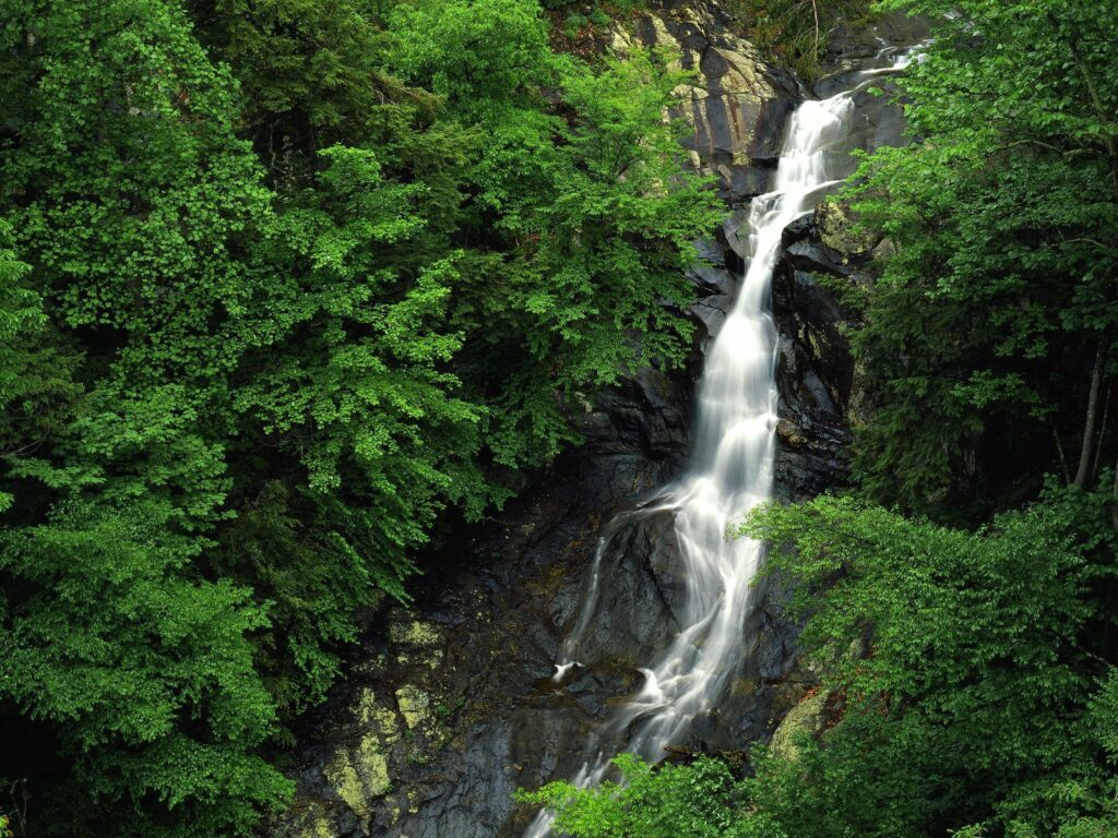 Tall serene waterfall flowing over smooth rocks surrounded by lush green forest wallpaper background