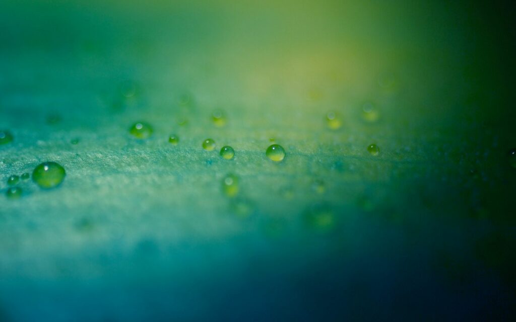 Serene Textured Surface with Water Droplets - Refreshing Wallpaper