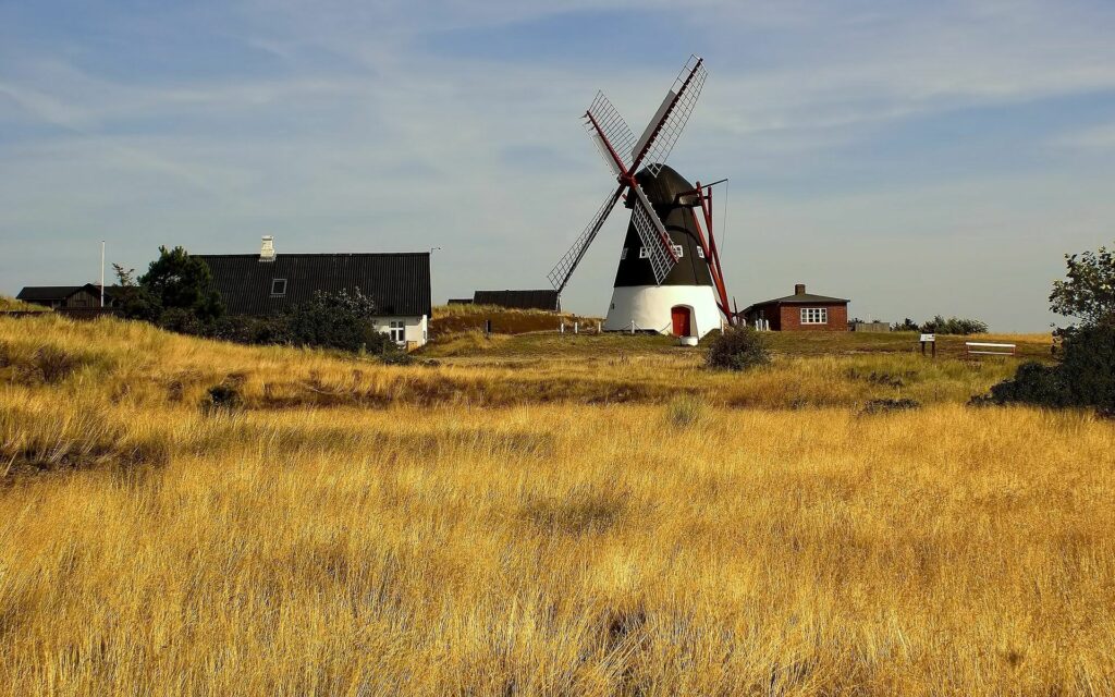 Traditional windmill and rustic farmhouses in golden fields under clear sky rural countryside wallpaper