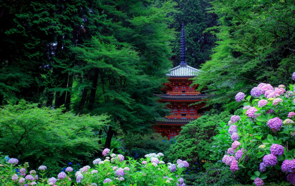 Japanese Serenity: Hydrangea Garden by the Pagoda - Captivating 4K Wallpaper