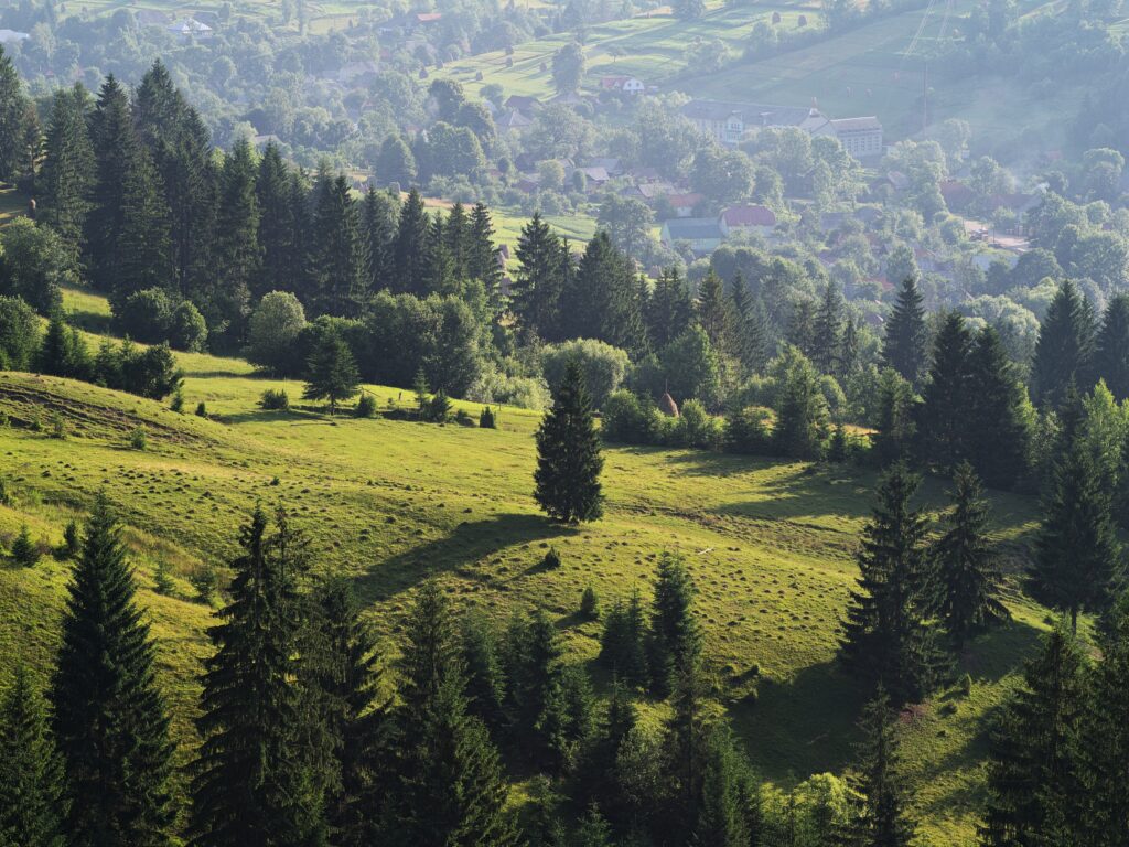Transcarpathian Ukraine Pylypets rolling green hills dense pine forests peaceful village wallpaper