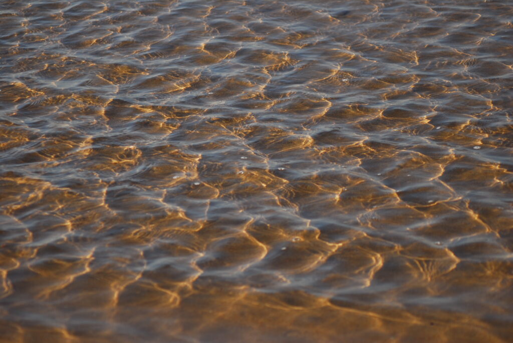 Transparent sea wallpaper with gentle ripples sunlight reflections sandy bottom serene seaside