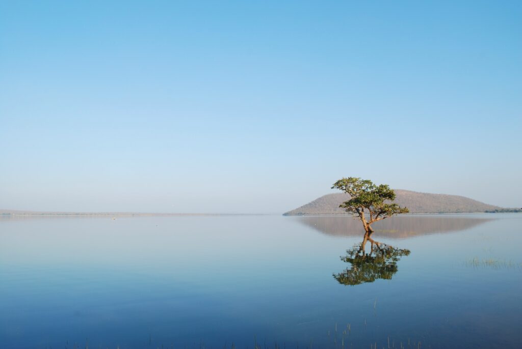 Solitary tree reflected in calm waters under blue sky with distant hills serene landscape wallpaper
