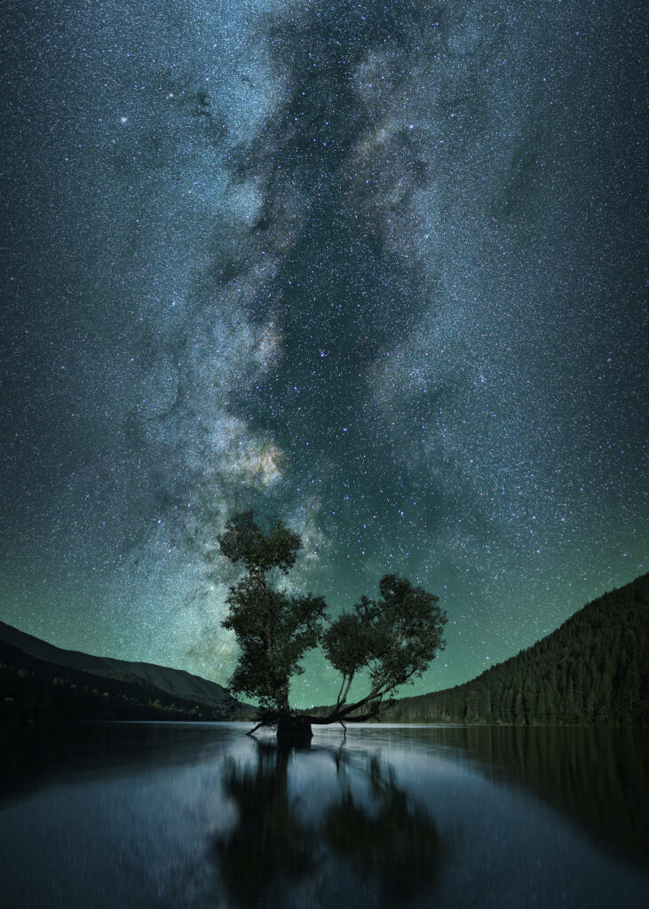 Serene Tree Wallpaper: Tranquil Waters & Starry Milky Way Night Sky