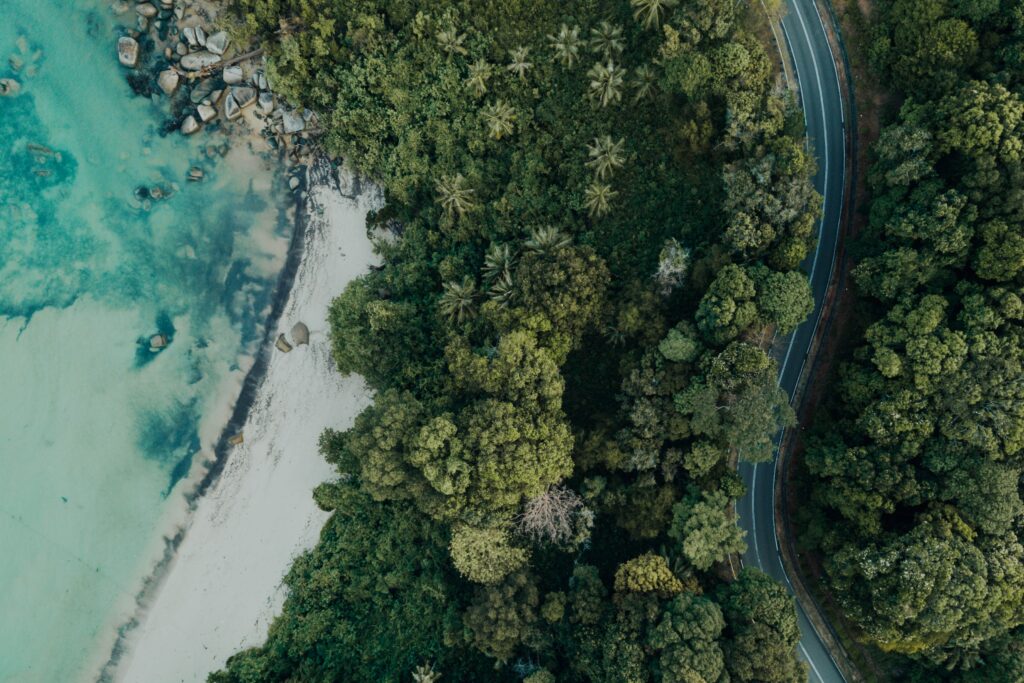 Aerial view of serene beach with turquoise sea palm trees sandy shore and winding forest road Wallpaper