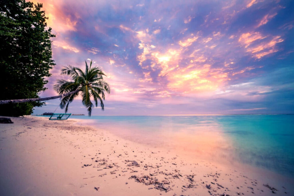 Serene Tropical Beach Sunset Wallpaper with Leaning Palm Tree