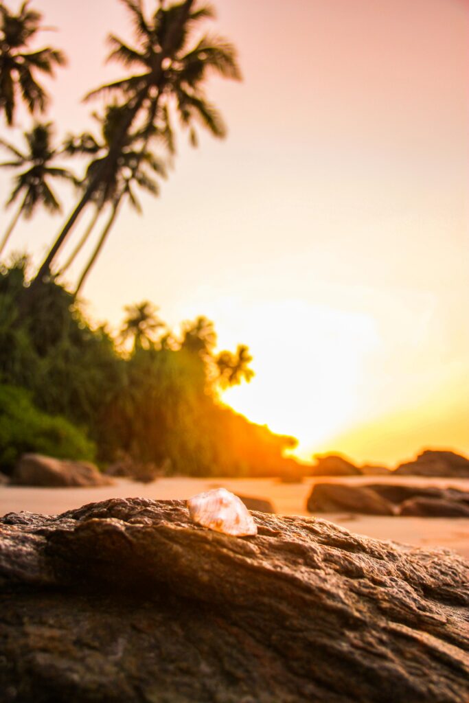 Delicate shell on sunlit beach rocks with palm trees and glowing tropical sunset landscape wallpaper