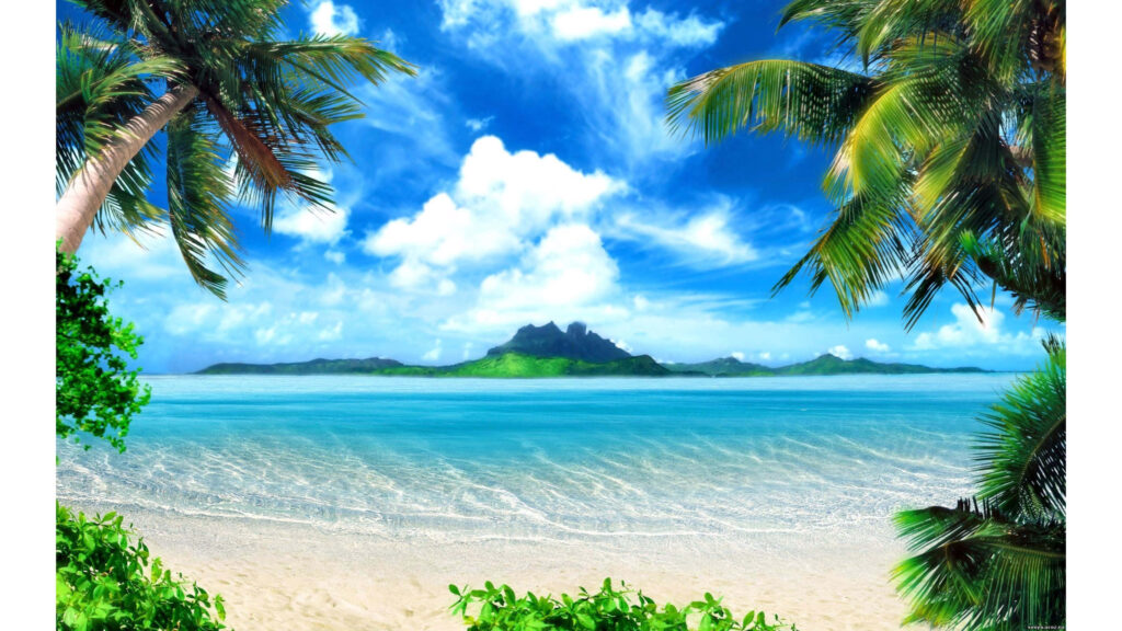 Serene Tropical Beach Wallpaper: Vibrant Waters & Lush Palms