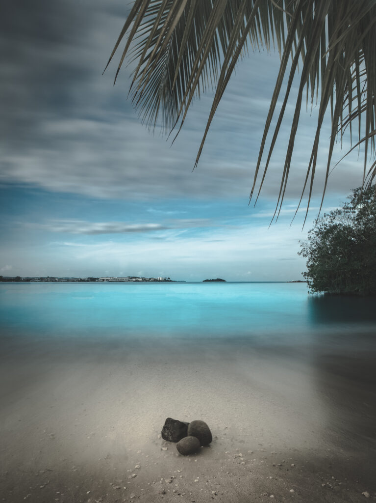 Serene tropical beach with soft sand stones turquoise water palm branches under cloudy sky wallpaper