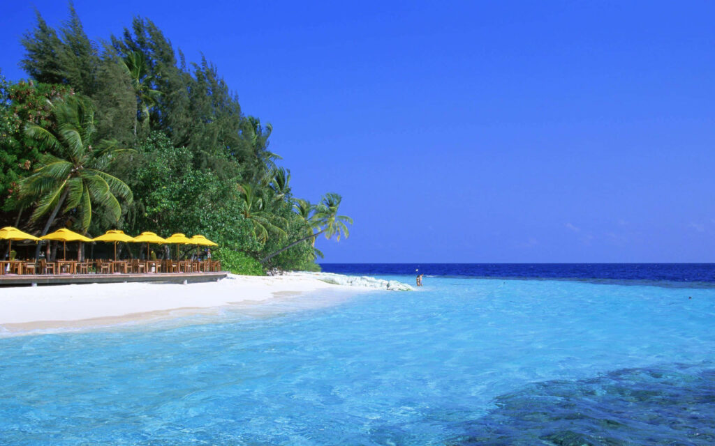 Serene Tropical Beach Wallpaper with Crystal-Clear Waters & Palm Trees