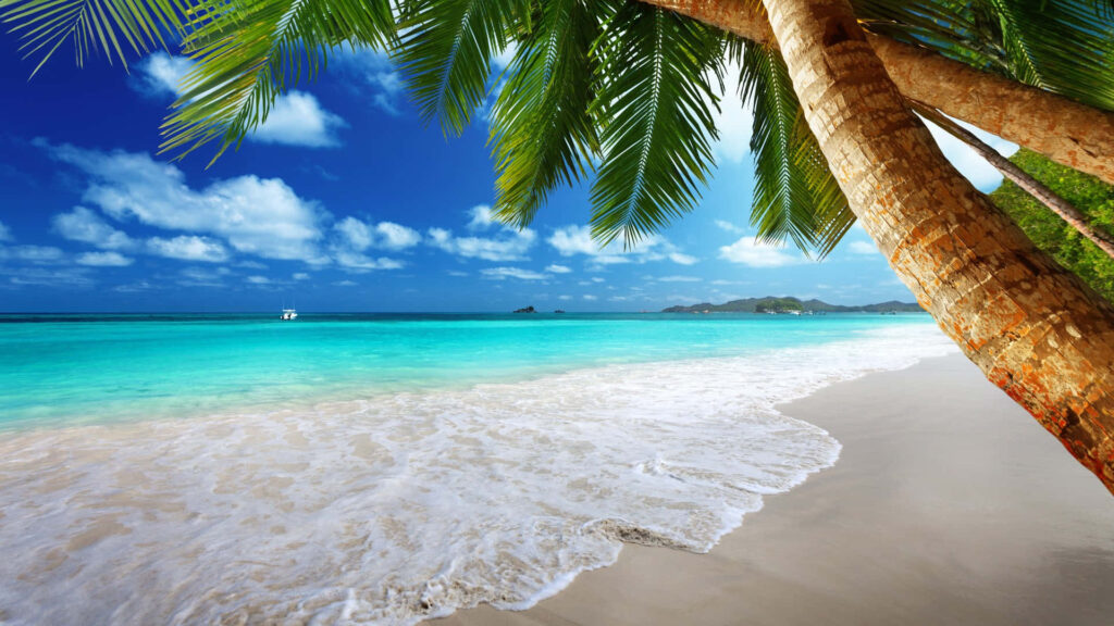 Tropical Beach Wallpaper: Serene Golden Sands & Turquoise Waves