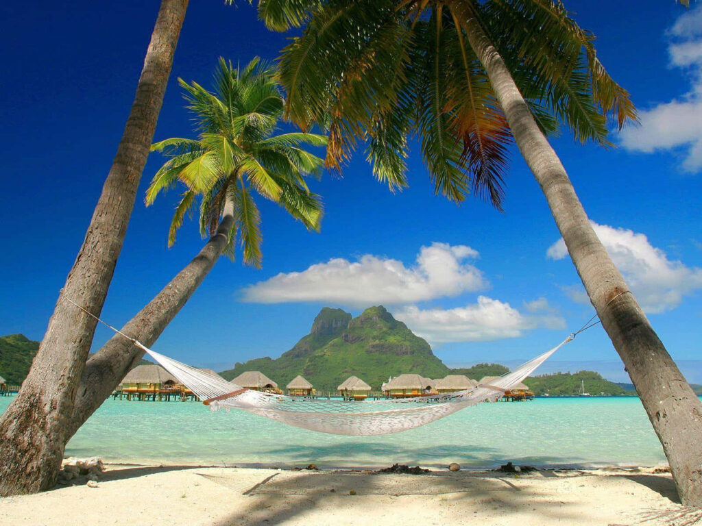 Tropical Beach Desktop Background: Hammock, Palm Trees & Turquoise Waters Wallpaper