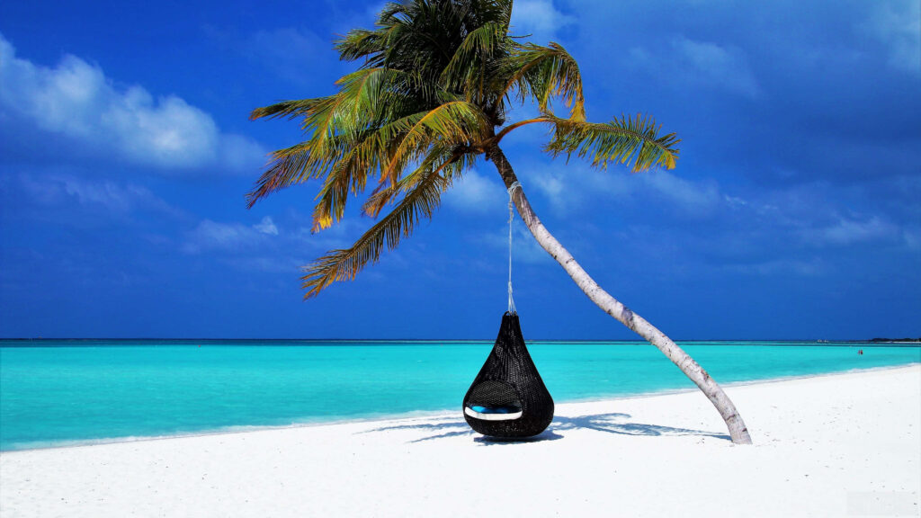 Tranquil Beach Scene: Palm Tree, Hanging Chair & Turquoise Waters Wallpaper