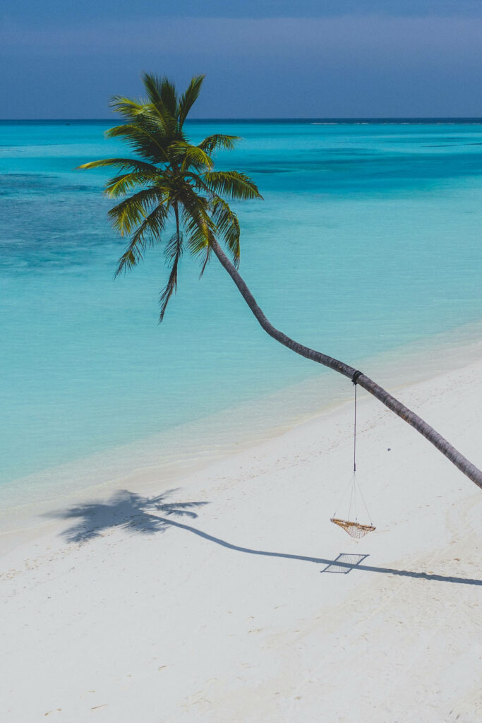 Tranquil Tropical Beach: Palm Tree & Hammock by Turquoise Sea Wallpaper