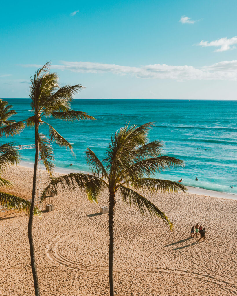 Tranquil Tropical Paradise: Serene Beach with Palm Trees & Turquoise Ocean Wallpaper