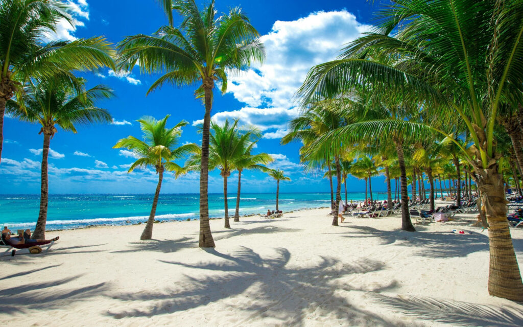 Serene Tropical Beach Scene with Palm Trees and Turquoise Waves Wallpaper