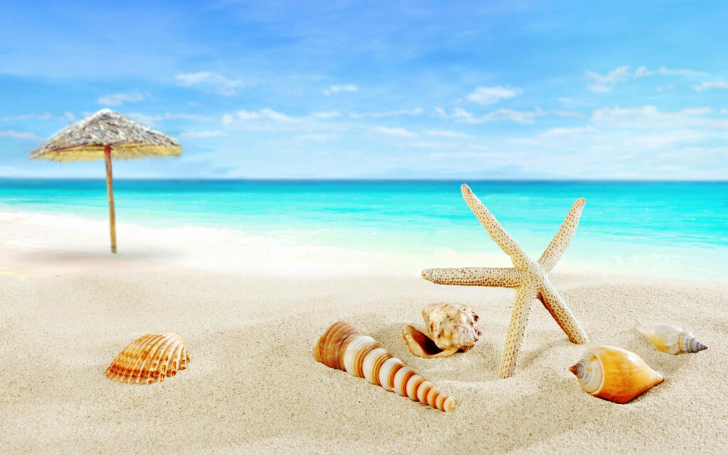 Serene Tropical Beach: Seashells, Starfish & Turquoise Waters Wallpaper
