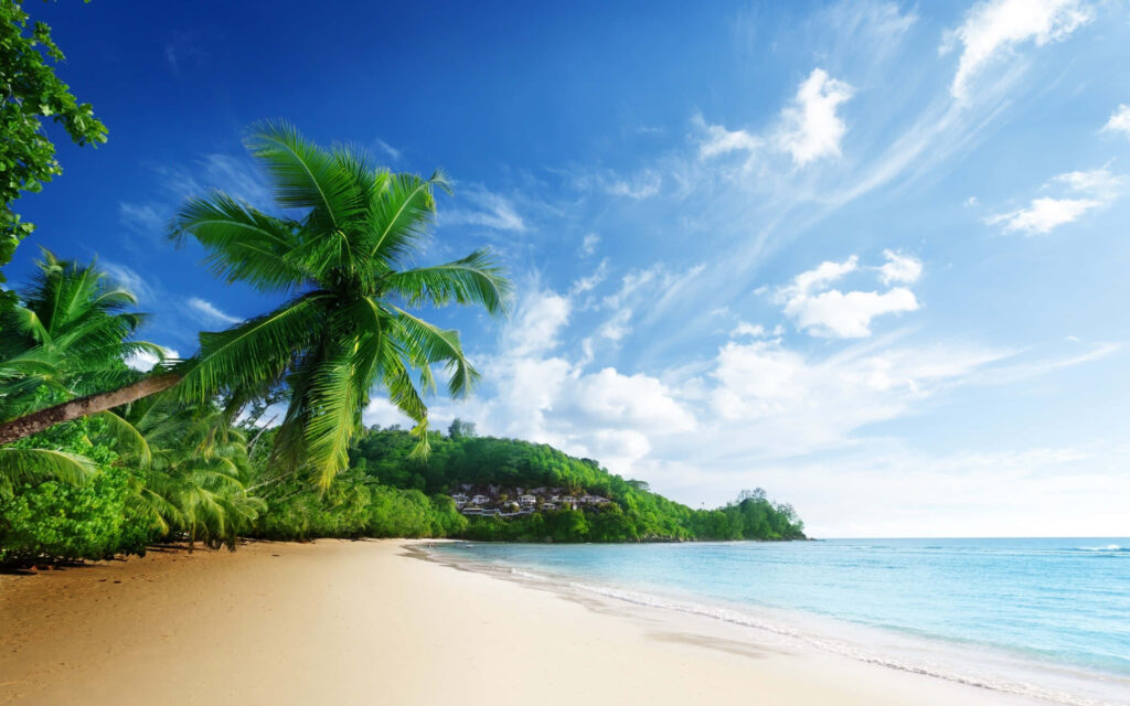 Serene Tropical Beach Wallpaper: Sandy Shores & Clear Skies