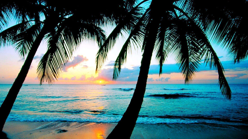 Tranquil Tropical Beach Wallpaper: Sunset Over Calm Ocean Waves