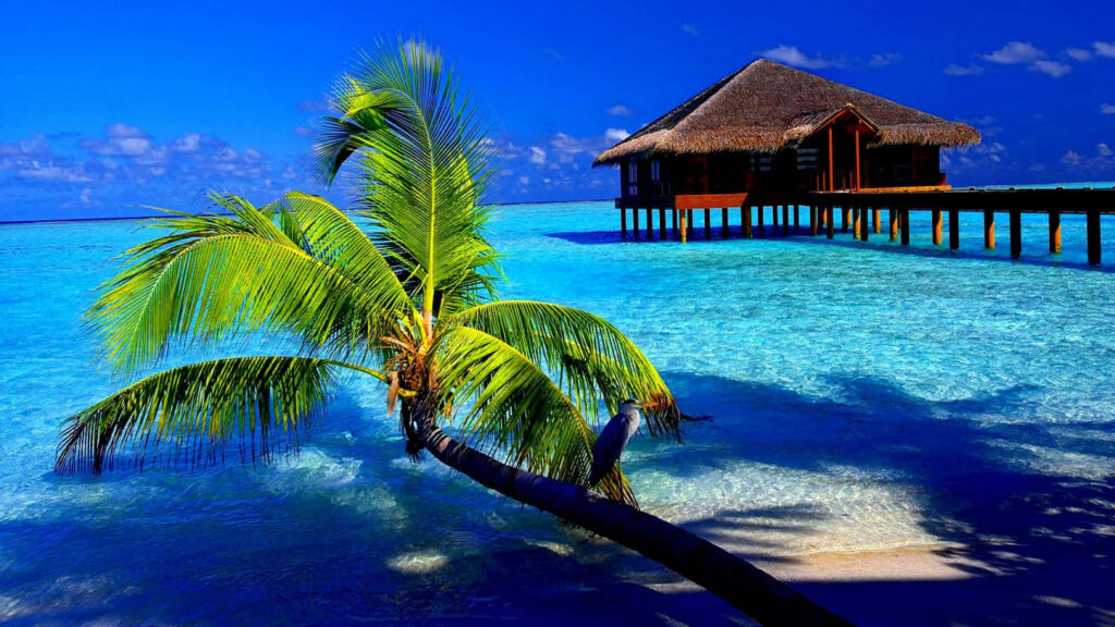 Vibrant Tropical Beach Wallpaper: Tranquil Summer Serenity