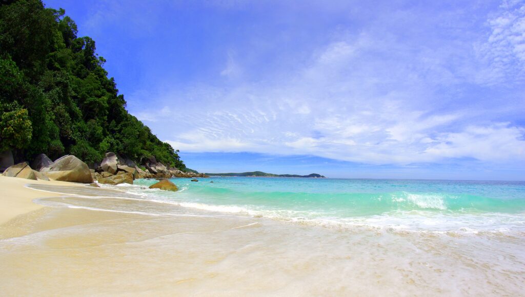 Tropical beach wallpaper with turquoise waves golden sand lush greenery and blue sky paradise