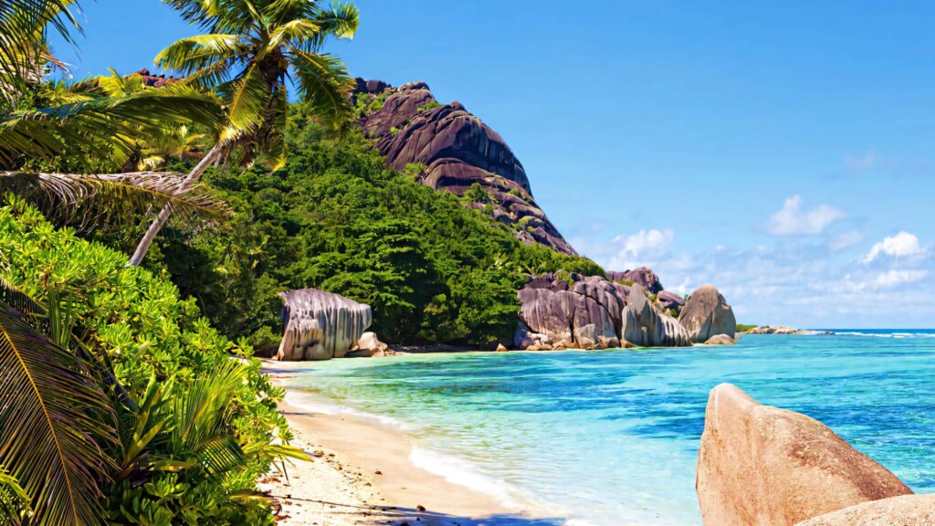 Serene tropical beach with leaning coconut tree turquoise waters golden sand and granite rocks Wallpaper