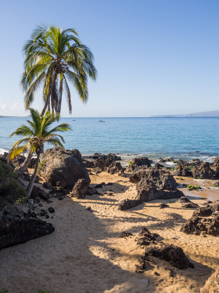 Serene tropical beach wallpaper with golden sand black volcanic rocks and swaying palm trees
