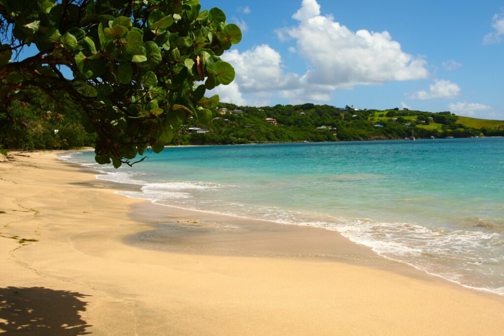 Tropical beach wallpaper with golden sand turquoise sea lush green foliage and bright blue sky